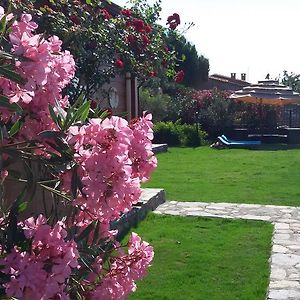Assos Sardunya Hotel